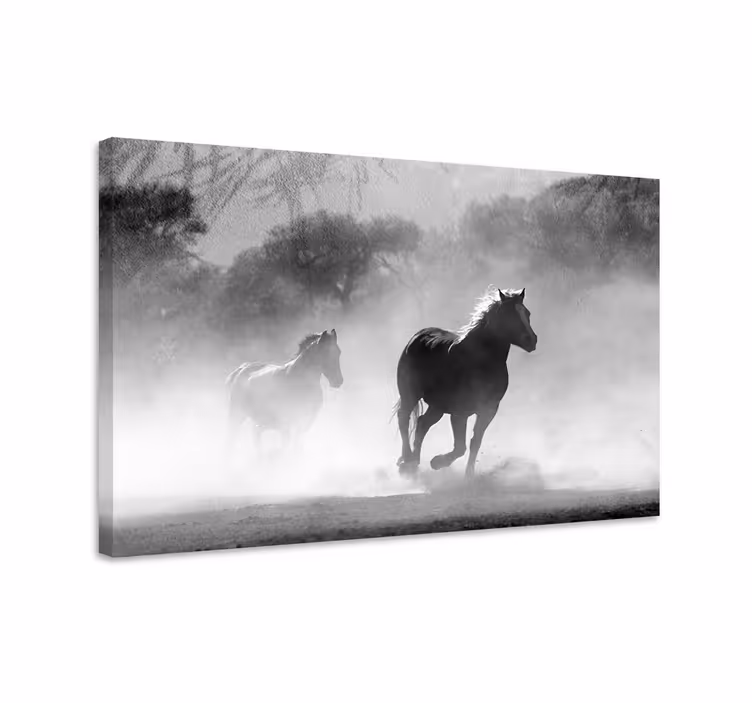 Tableau chevaux cheval noir et blanc - TenStickers