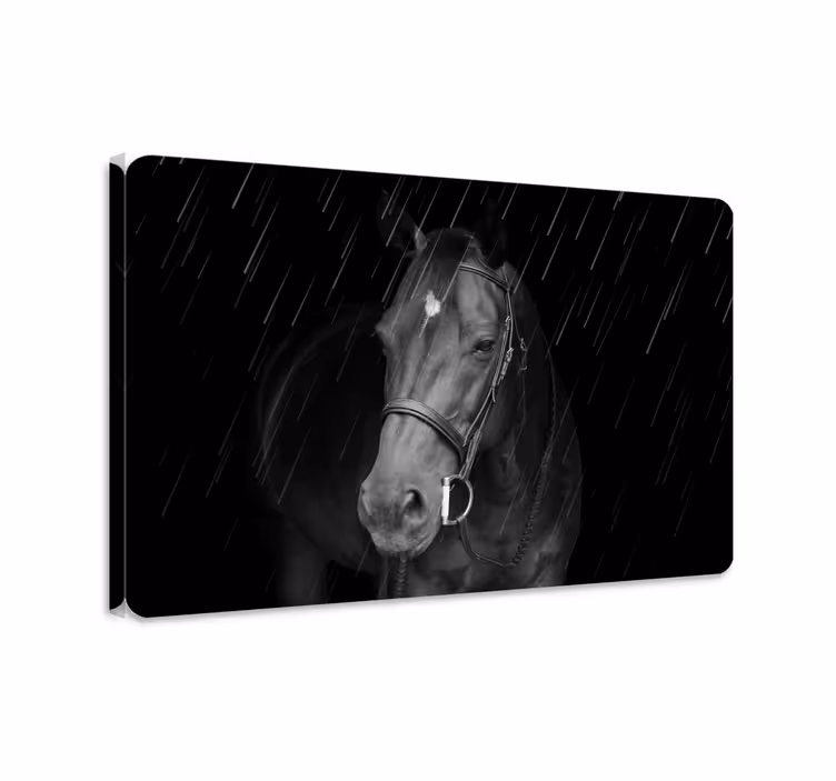 Tableau chevaux cheval majestueux sous la pluie - TenStickers