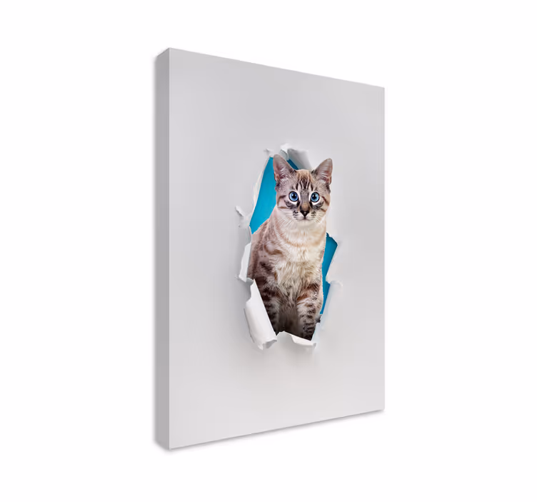 Tableau chat mignon pour les amoureux des chats - TenStickers