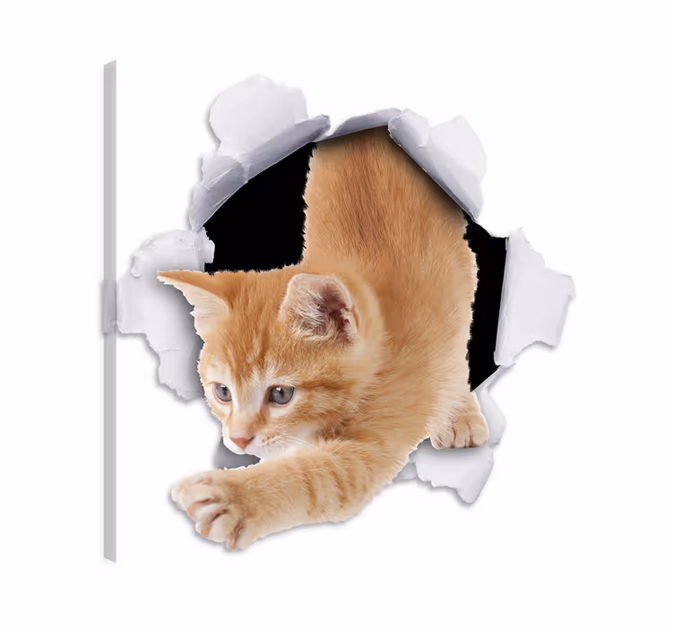 Tableau chat trompe-l'œil décoratif chat - TenStickers