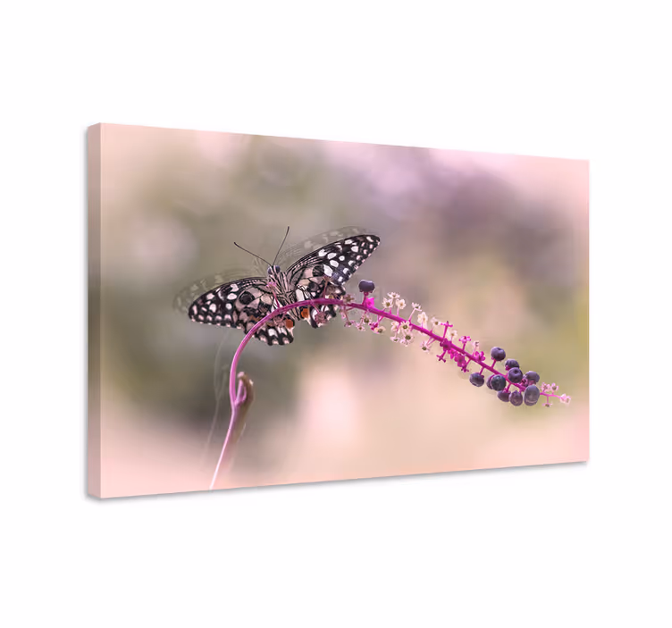 Tableau papillons papillon violet - TenStickers