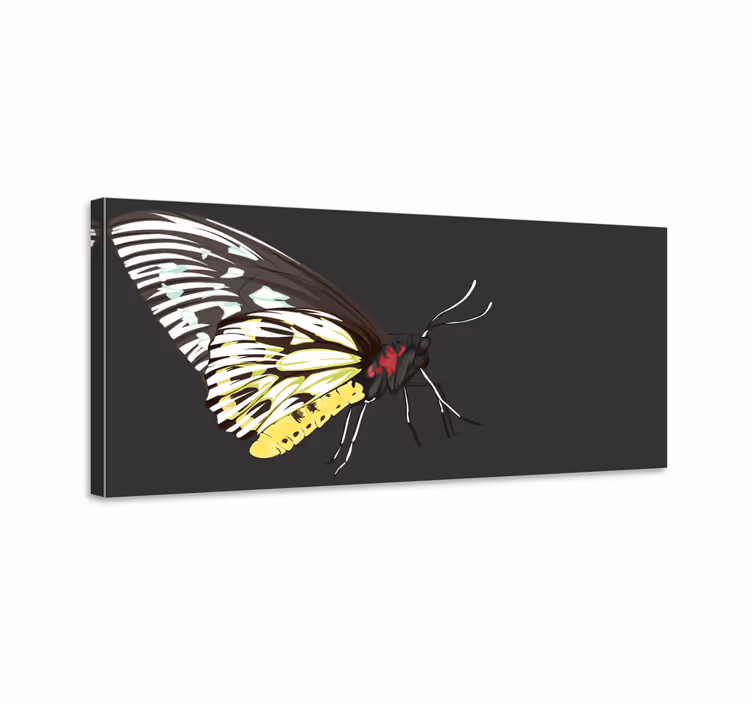 Tableau papillons papillon jaune réaliste détaillé - TenStickers