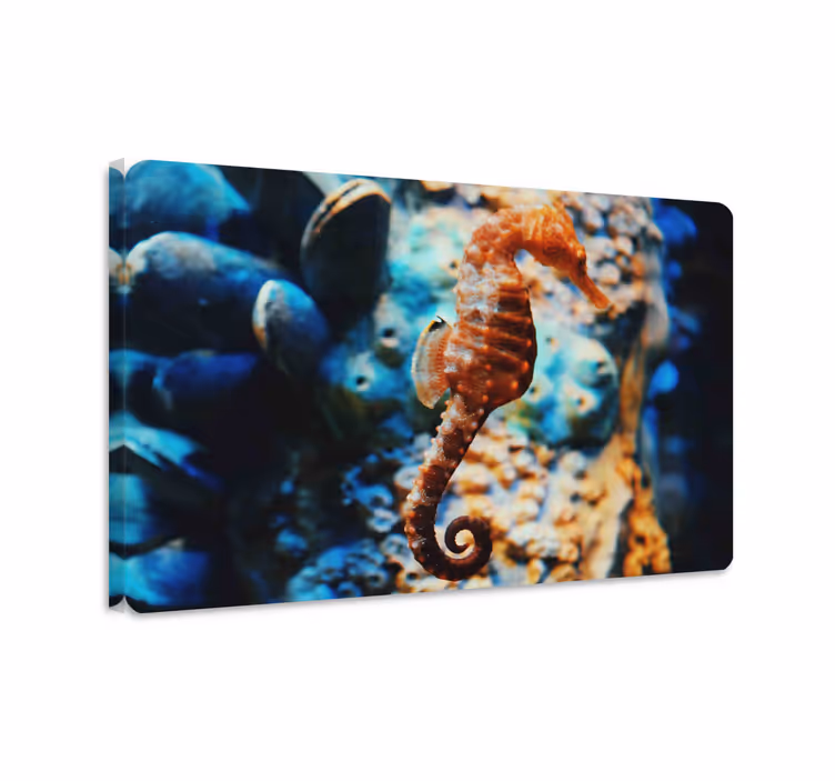 Tableau poissons fond marin - TenStickers