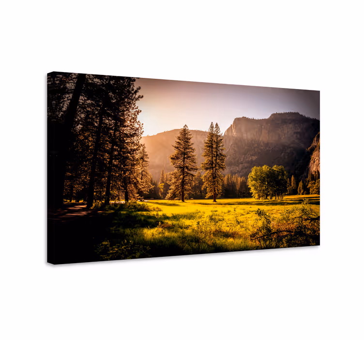 Tableau paysages forêt dorée au soleil - TenStickers