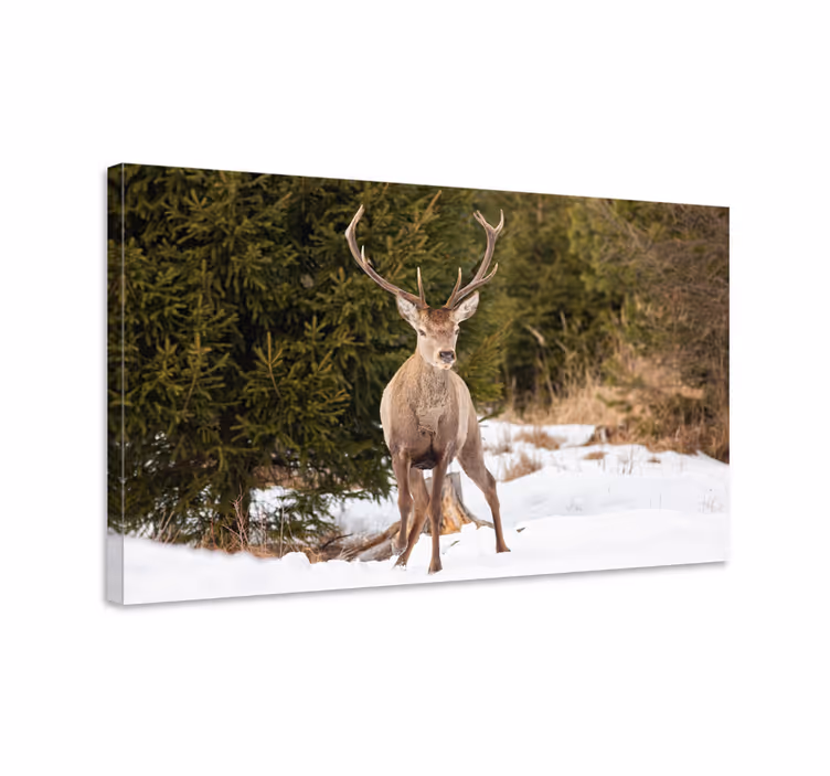 Tableau cerfs majestueux dans la nature - TenStickers