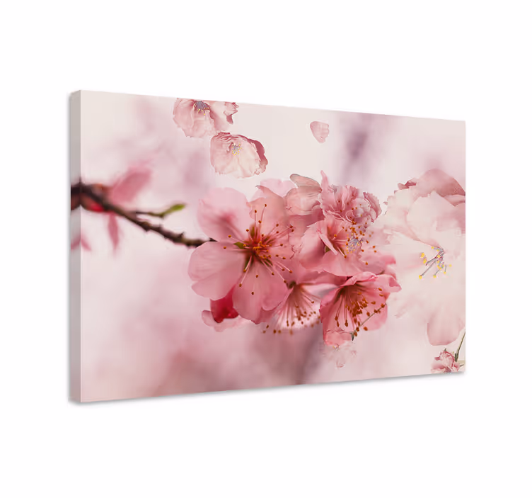 Tableau fleurs et plantes fleurs de cerisier en fleurs - TenStickers