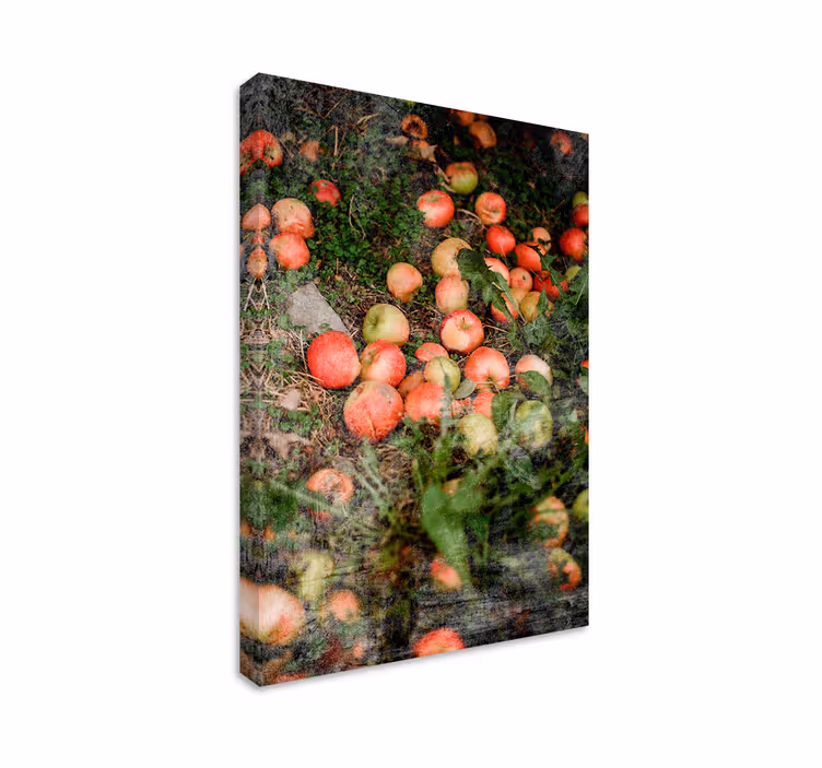 Tableau Pommes tombées avec des verts - TenStickers