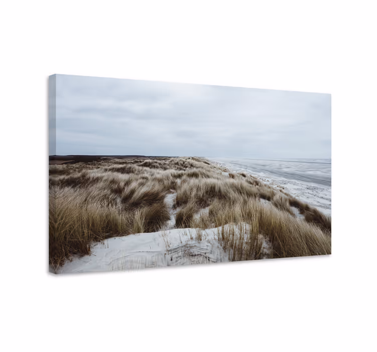 Tableau paysages vue sur les dunes côtières - TenStickers