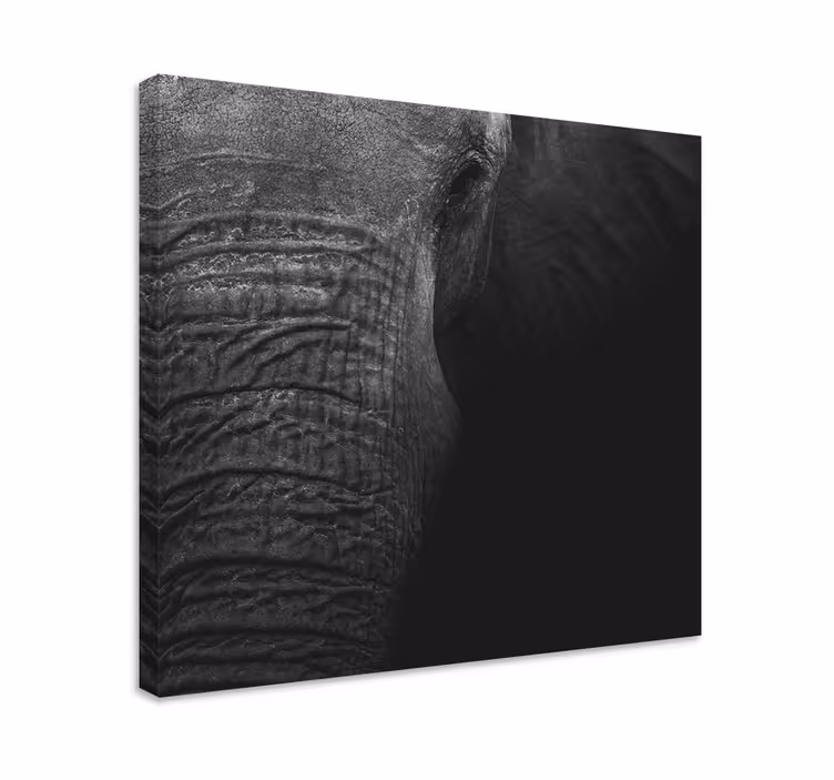 Tableau éléphants portrait d'éléphant majestueux - TenStickers