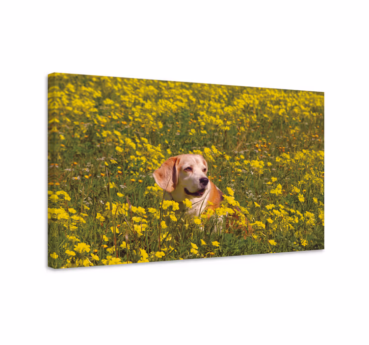 Tableau fleurs Chien portant des fleurs - TenStickers