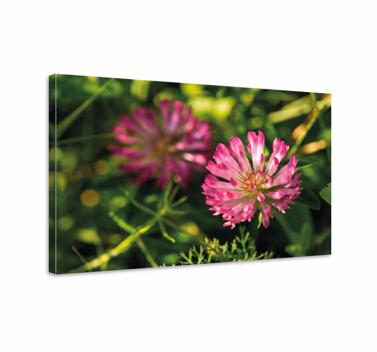 Tableau fleurs et plantes bouquet de fleurs roses - TenStickers