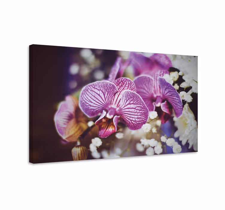 Tableau fleurs et plantes détails de fleurs d'orchidée - TenStickers