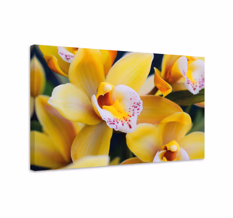 Tableau fleurs Fleur d'orchidée nature - TenStickers
