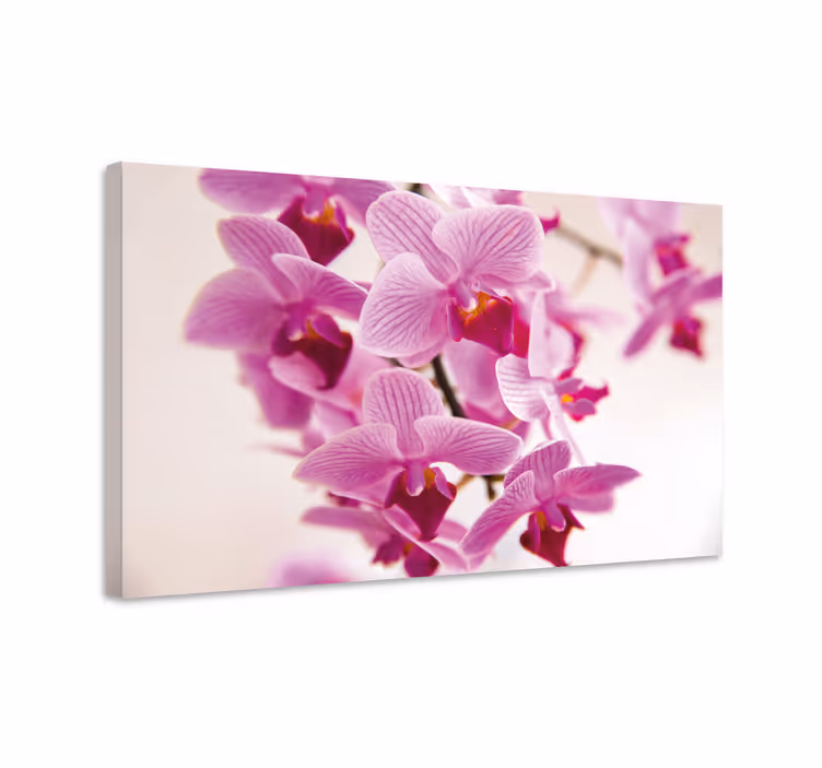 Tableau fleurs et plantes fleurs d'orchidées délicates - TenStickers