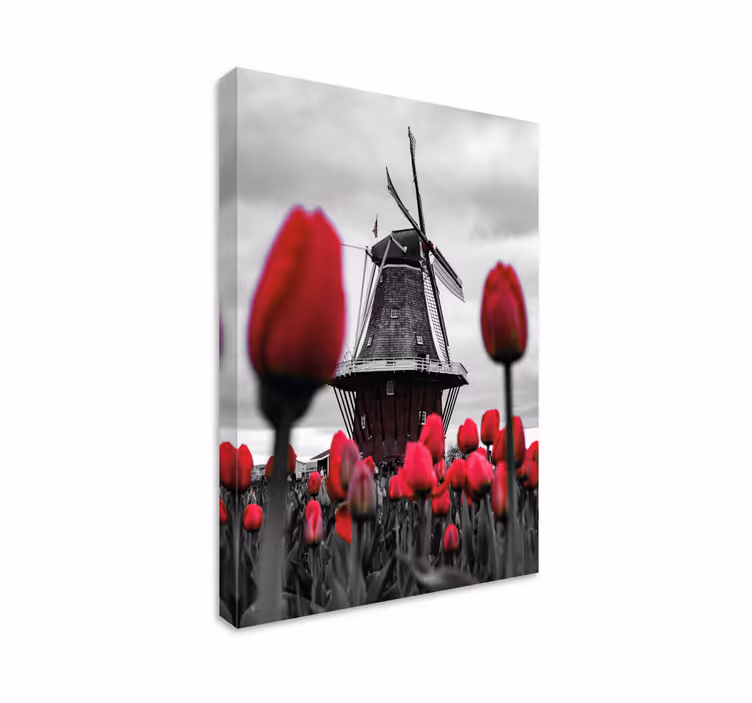 Tableau paysages moulin et tulipes - TenStickers