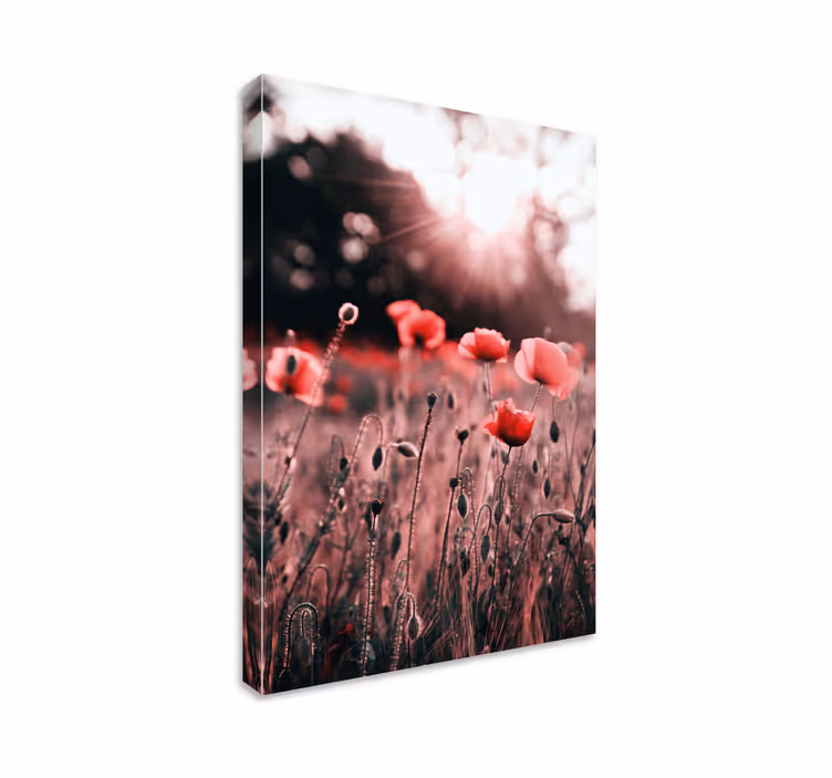 Tableau fleurs et plantes Éclat de prairie à coquelicots - TenStickers