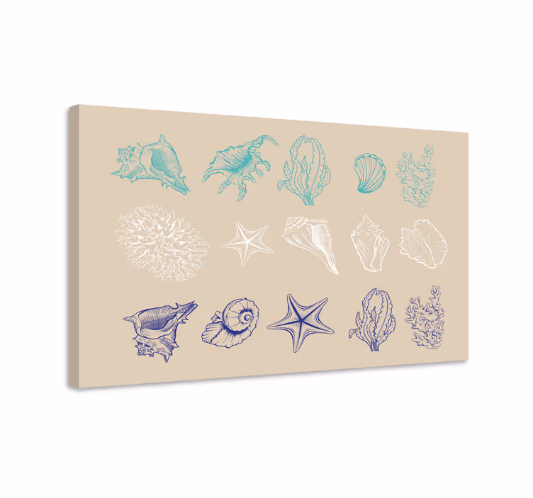 Tableau mer collection de coquillages côtiers - TenStickers