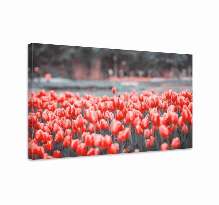 Tableau fleurs et plantes champ de tulipes vibrantes - TenStickers