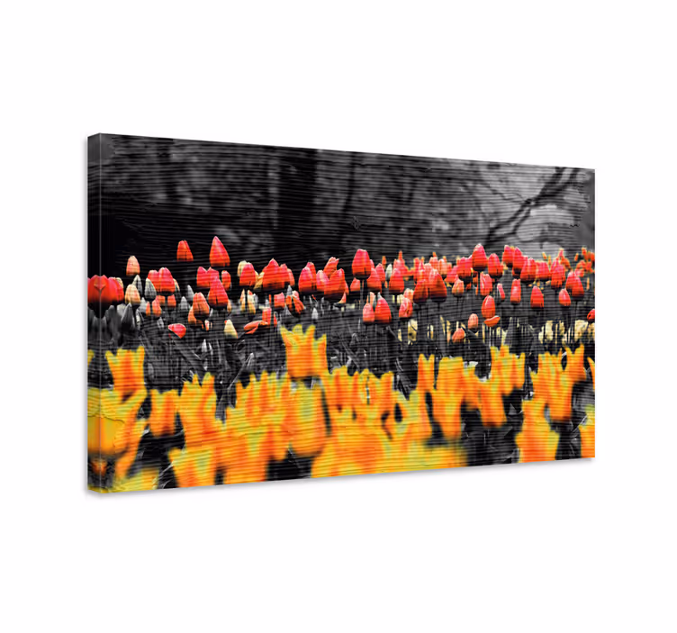 Tableau fleurs et plantes jardin de tulipes colorées - TenStickers