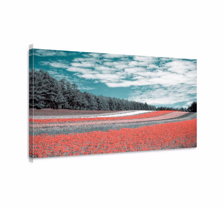 Tableau paysages champ de fleurs vibrant - TenStickers