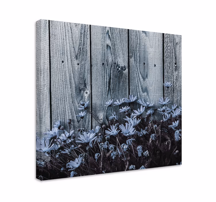 Tableau marguerites sur planche de bois grise - TenStickers
