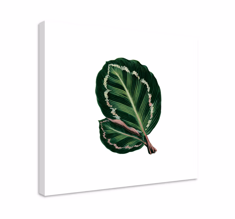 Tableau fleurs et plantes design à grandes feuilles - TenStickers