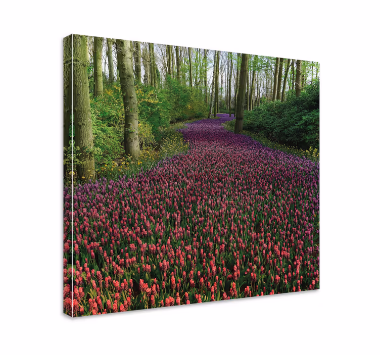 Tableau fleurs et plantes chemin floral épanoui - TenStickers
