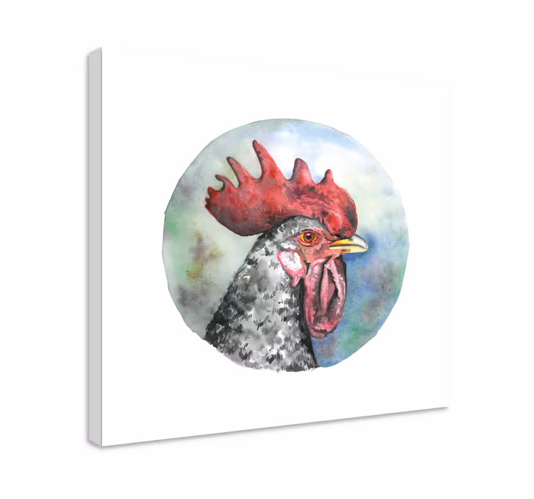 Tableau oiseaux portrait de coq - TenStickers