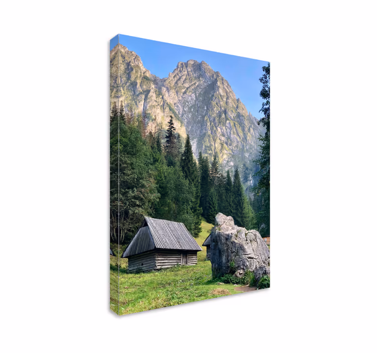 Tableau paysages scène de forêt montagneuse - TenStickers