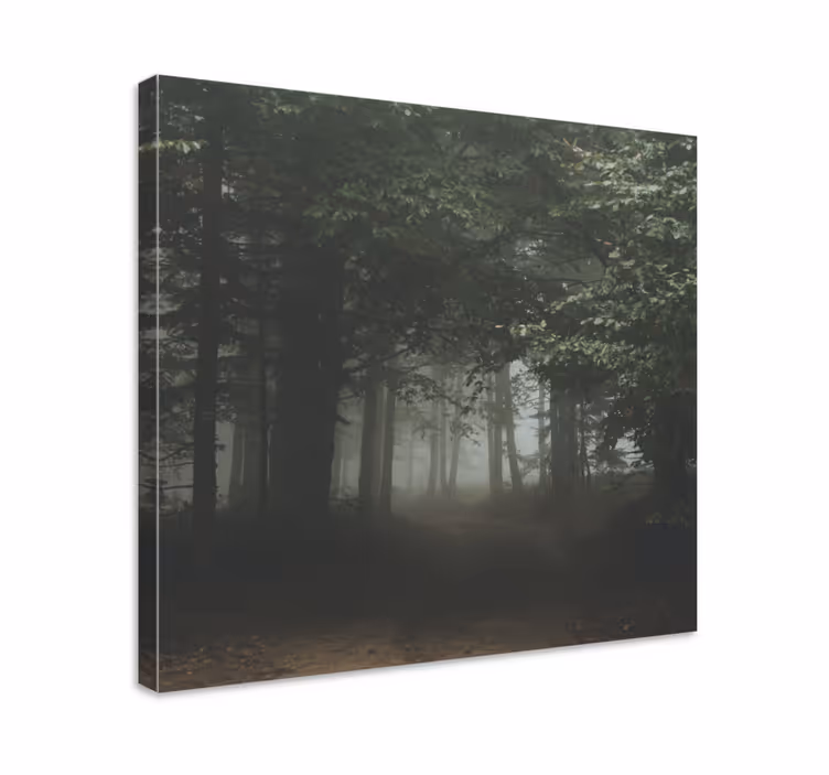 Tableau paysages sentier forestier voilé - TenStickers
