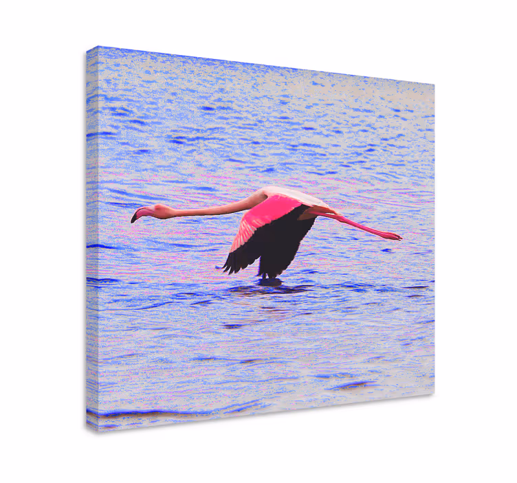 Tableau poissons flamant rose en vol - TenStickers