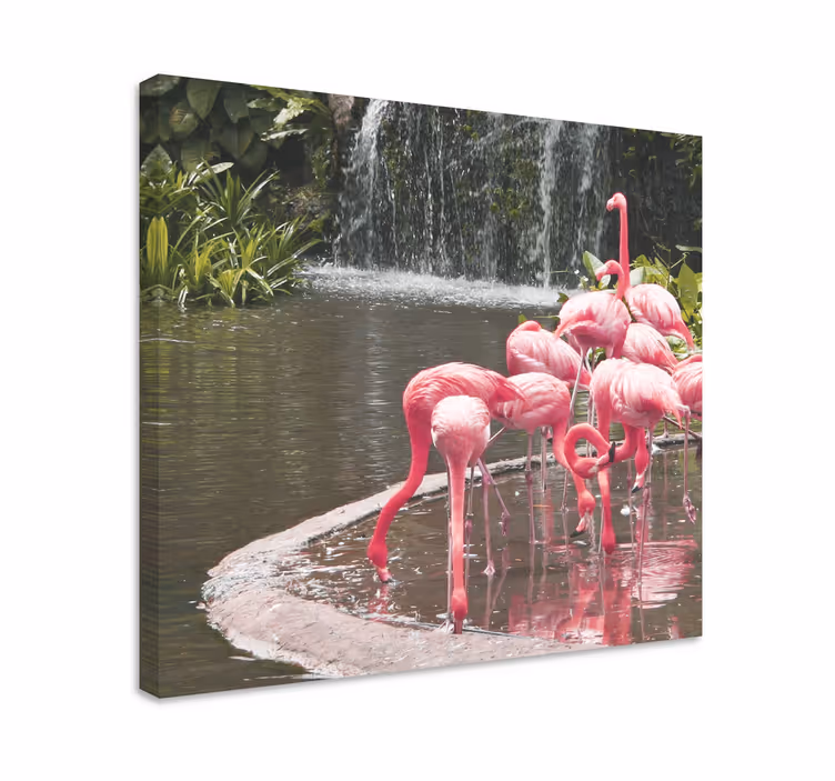 Tableau oiseaux groupe de flamants à la piscine - TenStickers