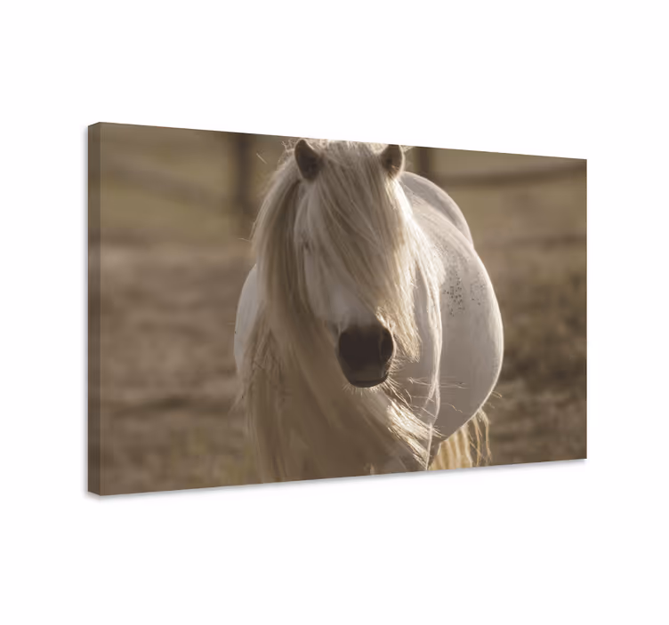 Tableau chevaux portrait équin majestueux - TenStickers