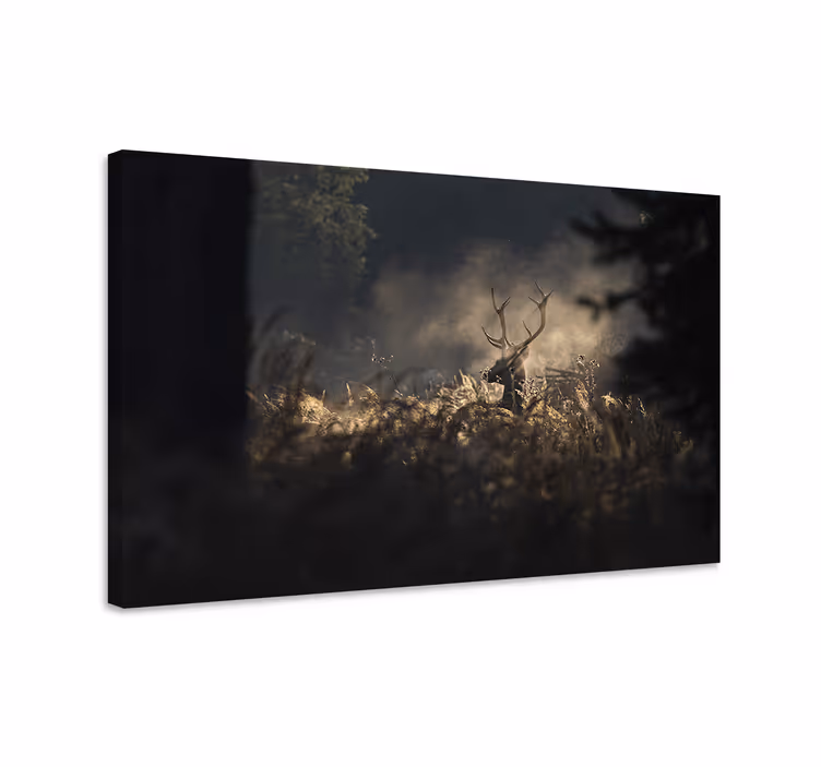 Tableau cerfs contour majestueux - TenStickers