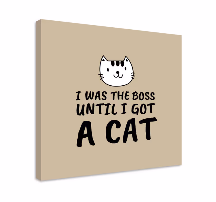 Tableau chat citation amusante sur les chats - TenStickers