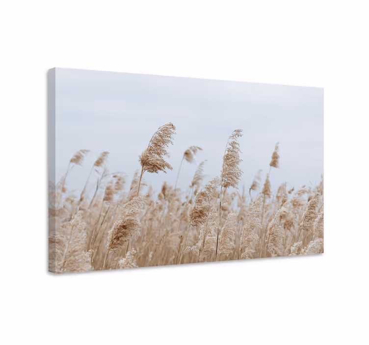 Tableau fleurs et plantes brise douce sur l'herbe - TenStickers