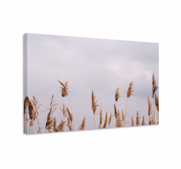 Tableau fleurs et plantes tiges de graminées hautes - TenStickers