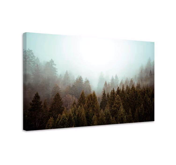 Tableau paysages vue sur la forêt brumeuse - TenStickers