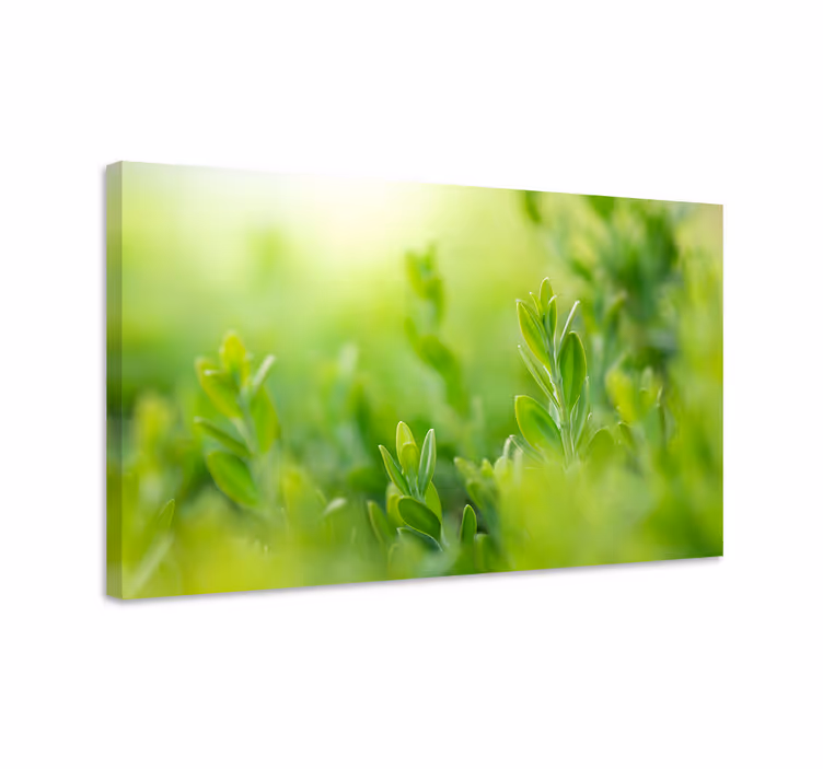 Tableau fleurs et plantes feuillage luxuriant rapproché - TenStickers