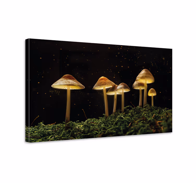 Tableau fleurs et plantes champignons lumineux - TenStickers