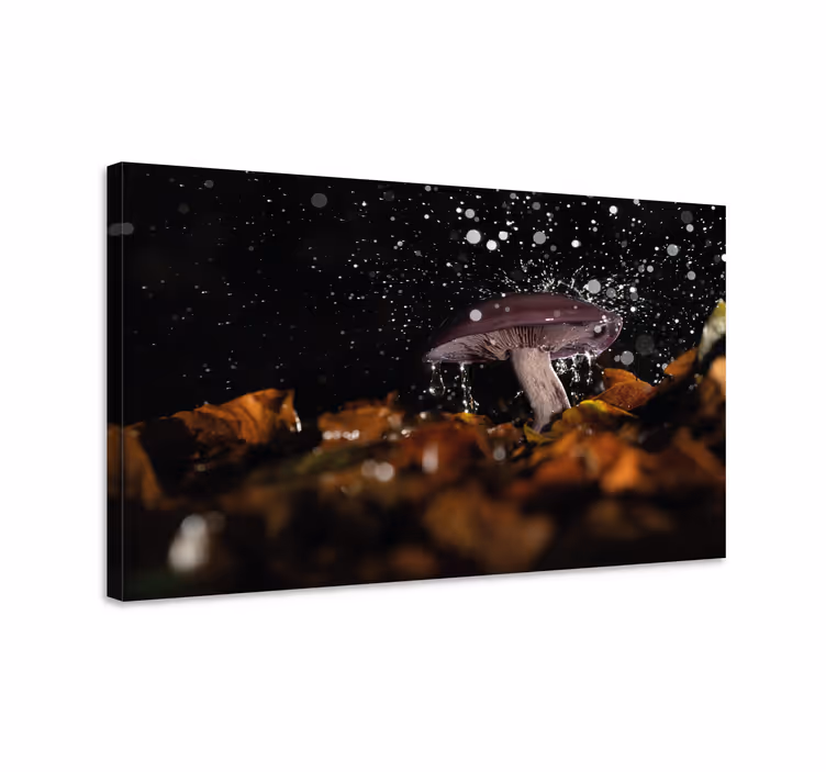 Tableau fleurs et plantes Éclaboussure de champignon - TenStickers