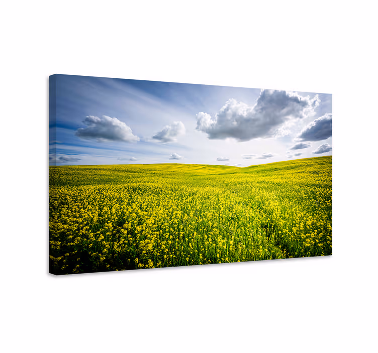 Tableau paysages champ jaune Éclatant - TenStickers