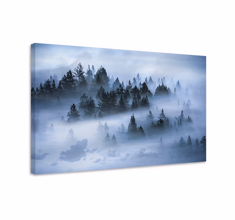 Tableau paysages forêt de pins brumeuse - TenStickers