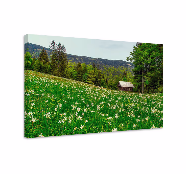 Tableau paysages cabane de campagne charmante - TenStickers