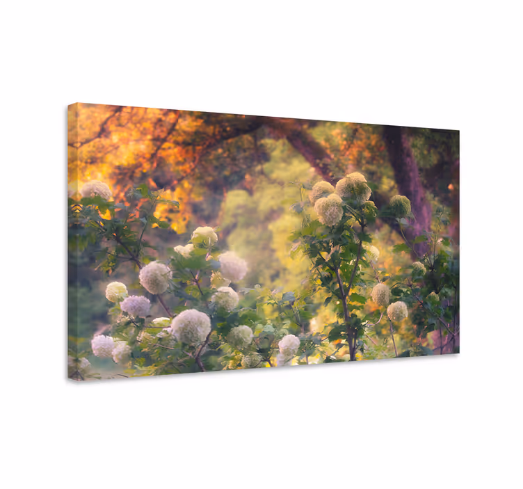 Tableau fleurs et plantes champs fleuris - TenStickers
