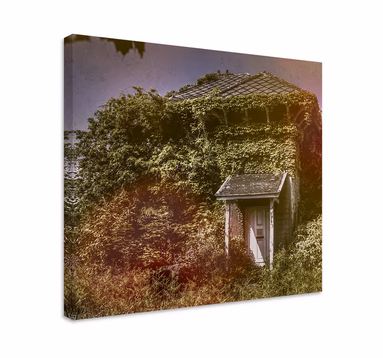 Tableau rustique cottage rustique abandonné - TenStickers
