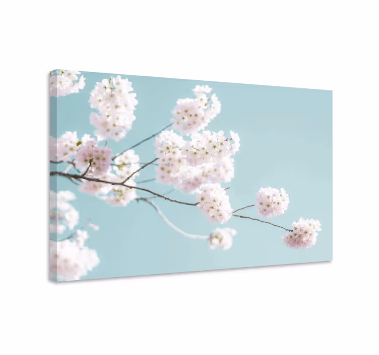 Tableau fleurs et plantes tige de fleurs de cerisier - TenStickers