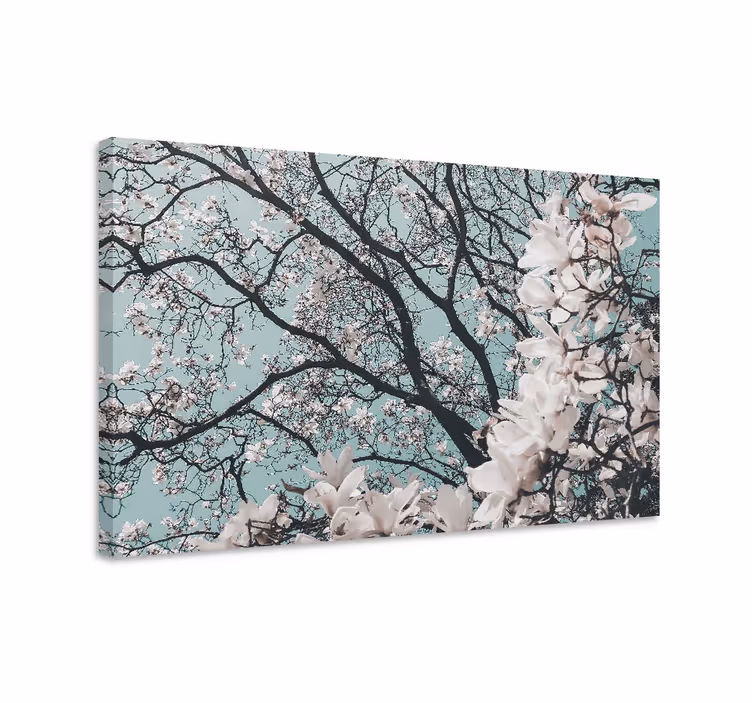 Tableau fleurs Fleur de cerisier japonaise de style élégant - TenStickers