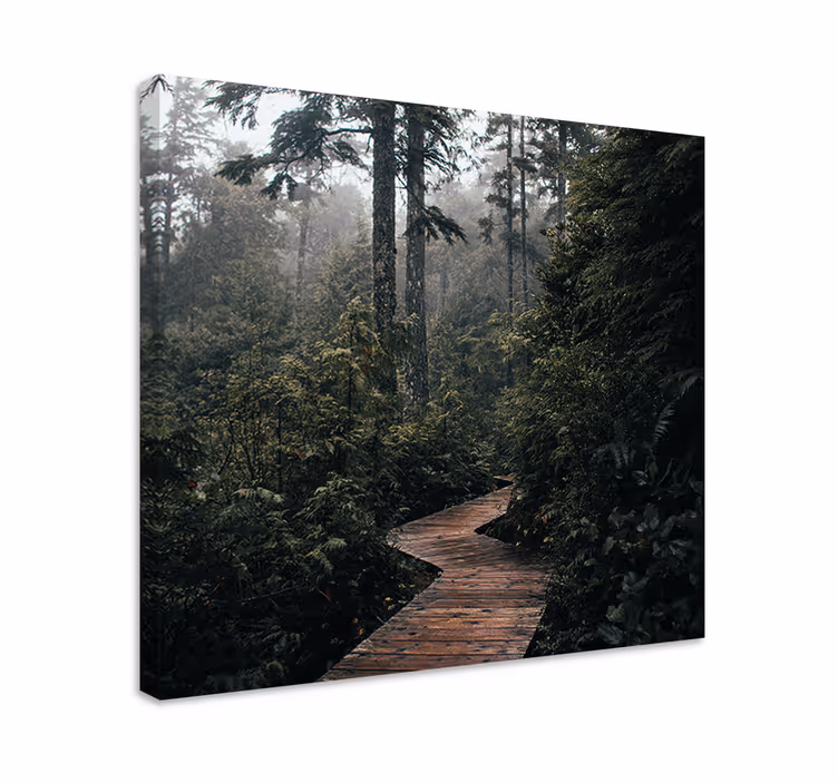Tableau paysages sentier forestier paisible - TenStickers