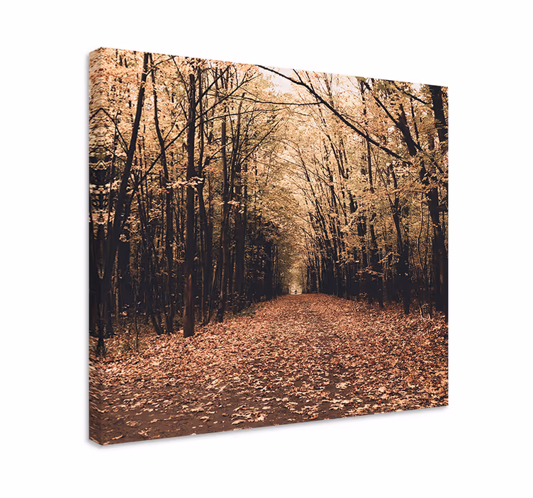 Tableau paysages scène de chemin d'automne - TenStickers